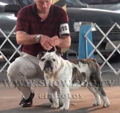 Clique sobre a foto para fechar